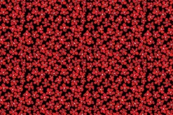 Hen House Bias Plaid Red on White