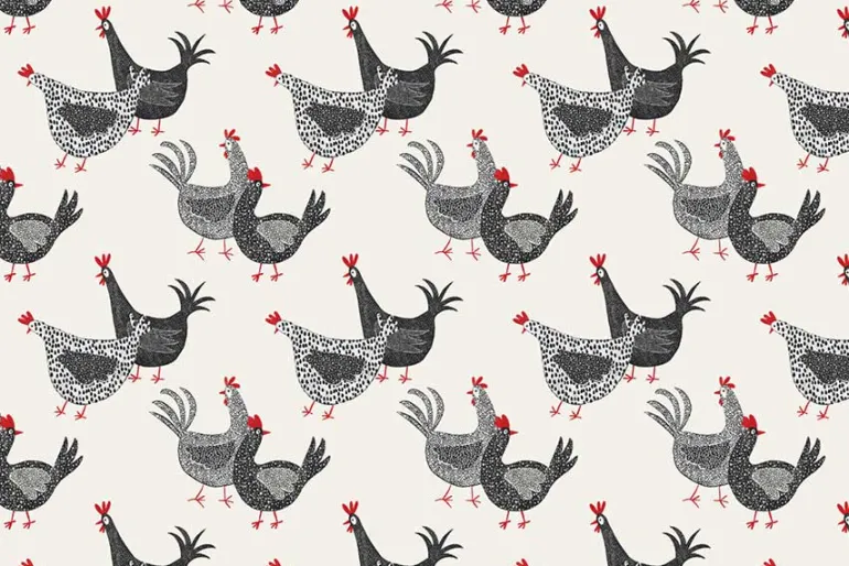 Hen House Chicken Trail on Off White