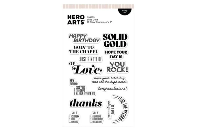 Hero Arts Drop the Needle Die Set