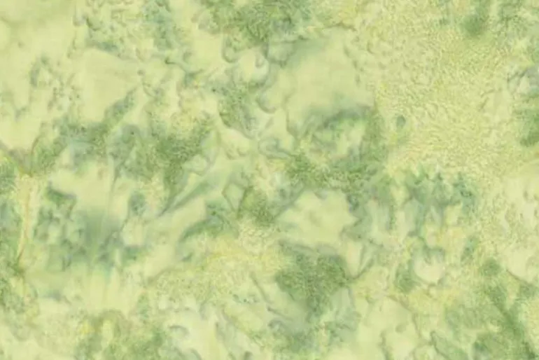 Hoffman Bali Batik Celedon Green 1895 Tonal