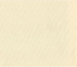 Holiday Cheer Candy Cane on Midnight