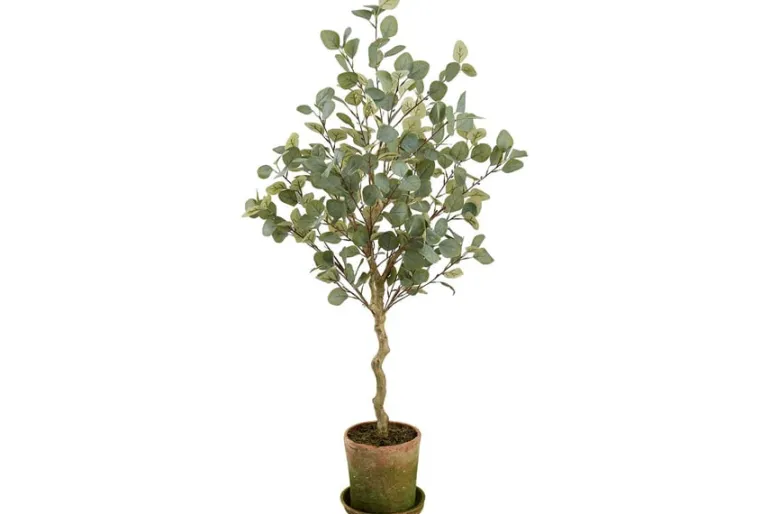 8″ Hosta Bush, Green