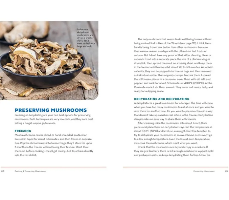 How to Forage for Mushrooms without Dying