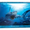 Hungry Shark Puzzle – 1000 Piece