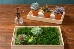 3-Inch Terra Cotta Clay Pot – Classic Mini Planter