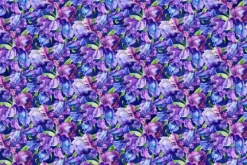 Infatuation Iris Floral Iris Feature on Turquoise