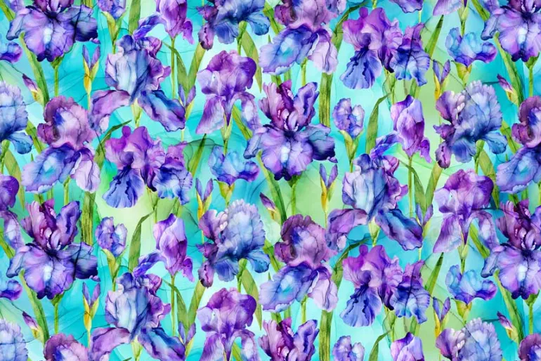 Infatuation Iris Floral Iris Feature on Turquoise