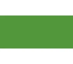 Jacquard Basic Dye – Green