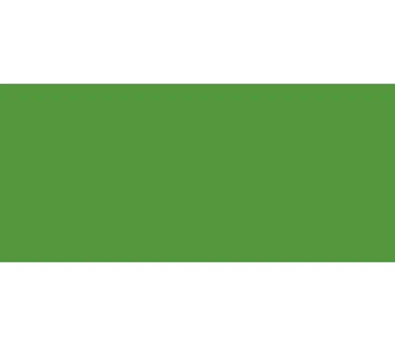 Jacquard Basic Dye – Green