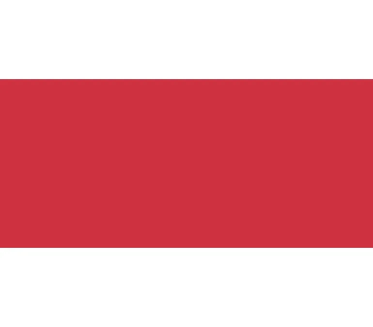 Jacquard Basic Dye – Red