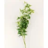 46″ Jasmine Vine Spray