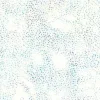 Jewel Batiks Small Leaves on Boysenberry