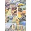 Jotter Mini Notebooks: National Parks