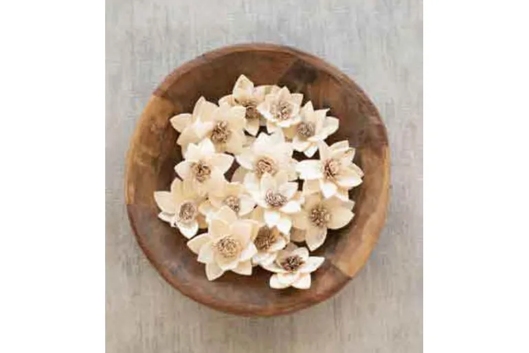Kalalou Bag of Dried Zinnias