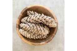 Kalalou Bag of Frosted Pine Cones – 6 Cones