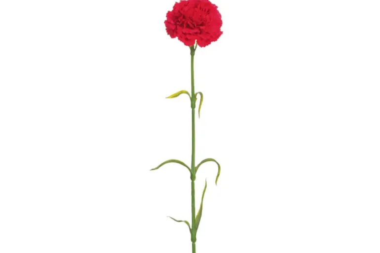 9″ Large Gerbera Daisy Stem, Beauty Red