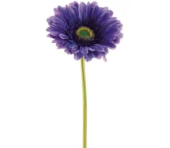 9″ Large Gerbera Daisy Stem, Cream