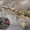 6′ Lighted Birch Garland with Warm White & Multicolor LEDs, Brown