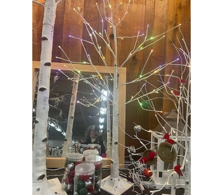 Lighted Birch Tree – 4-foot