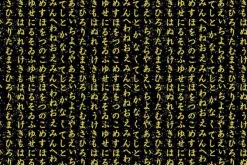 Lotus Garden Japanese Hiragana on Black w/Gold Metallic