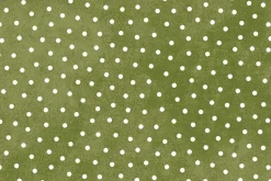 Maywood Studio Snowtop Woolies Flannel Dots on Aqua
