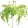 Mini Fern Bush – 8-inch