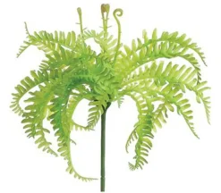 Mini Fern Bush – 8-inch