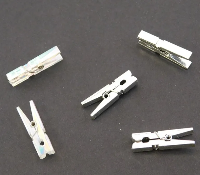 Mini Plastic Clothespins – Silver/Clear- 30 Piece
