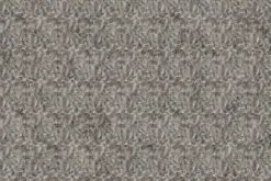 Misty Morning Bliss Texture in Tan