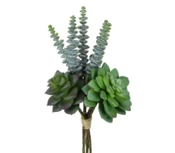 10″ Mixed Succulent Bundle