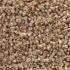 11/0 Miyuki Delica Seed Bead – Duracoat Galvanized Light Champagne