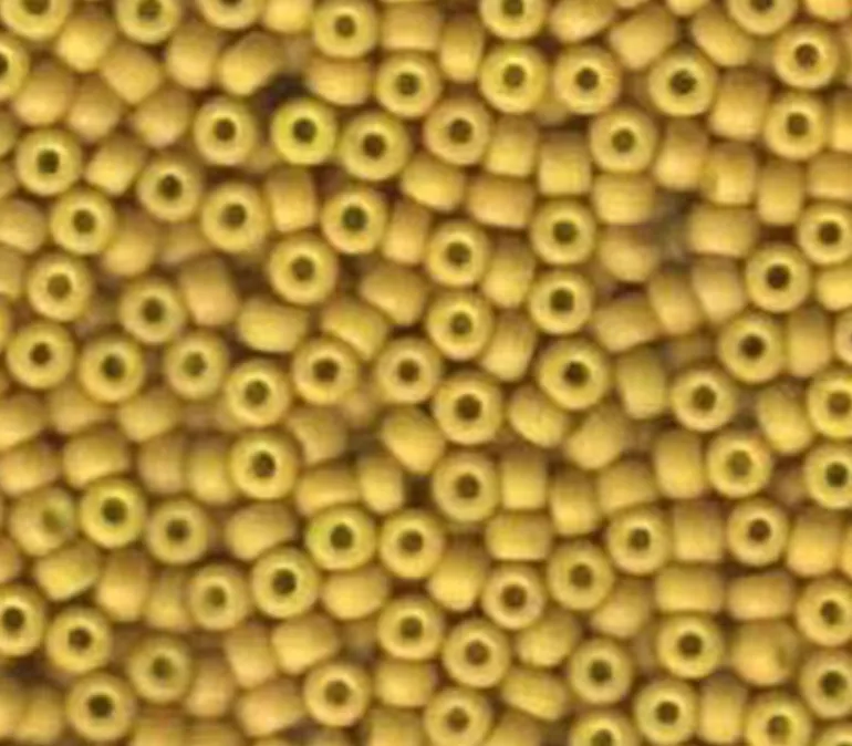 6/0 Miyuki Round Seed Bead – Opaque Mustard