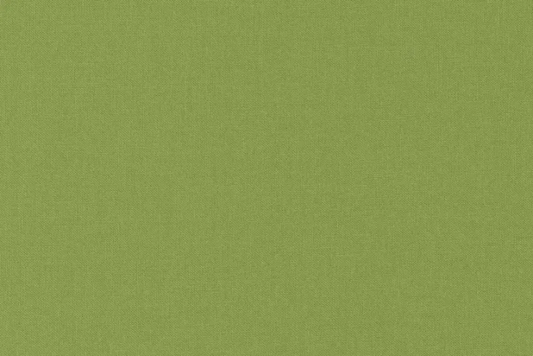 Moda Bella Solid Quilting Cotton Fern Green