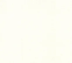 Moda Robin Pickens Thatched 108 Inch Quilt Wideback In Cream