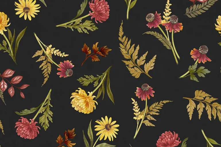 Monarch Meadows Floral and Monarch Border Stripe on Black & Cream