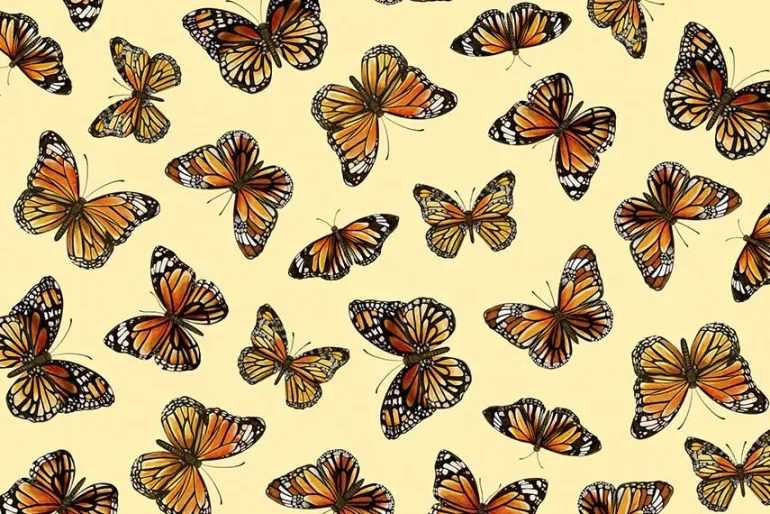 Monarch Meadows Floral and Monarch Border Stripe on Black & Cream