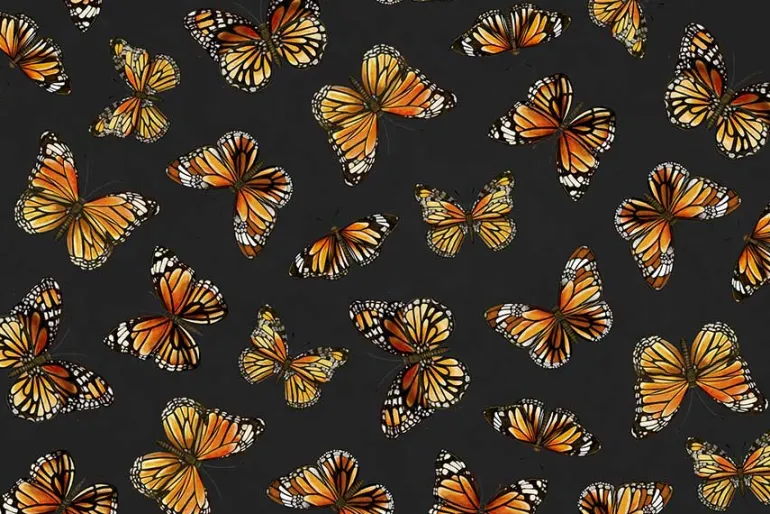 Monarch Meadows Monarch Butterflies on Cream