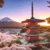 Mount Fuji Cherry Blossom – 1000 Piece Puzzle