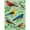 National Parks Bears 60-Piece Puzzle Card