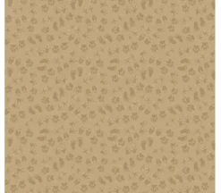National Parks Legend Footprints on Sand