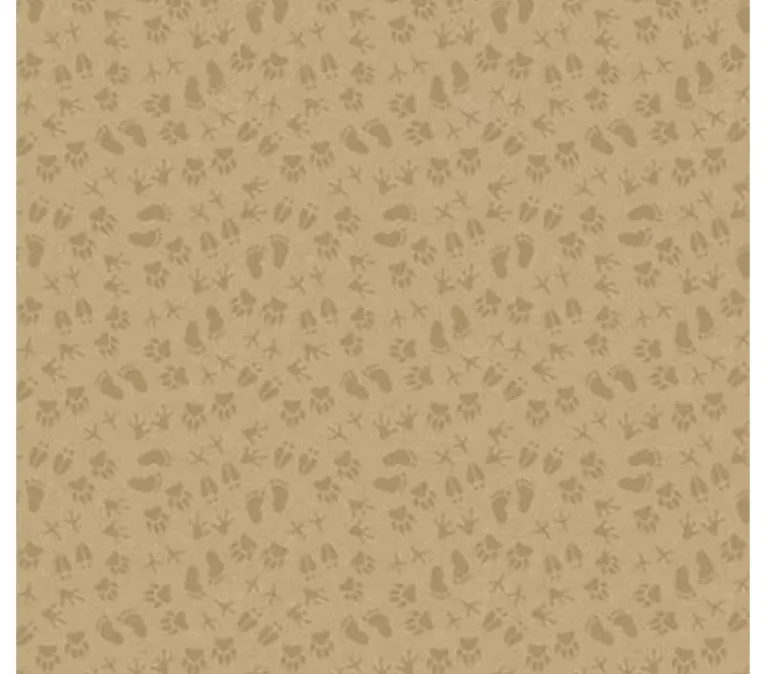 National Parks Legend Footprints on Sand