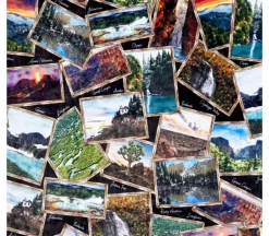 National Parks Printed Cuddle on Black