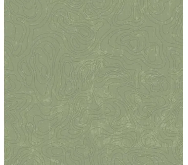 National Parks Topographic in tonal Green