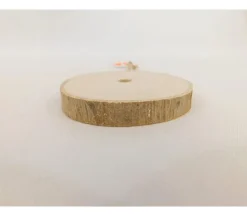 Natural Wood Slice Disc – Oval for Crafts & Décor
