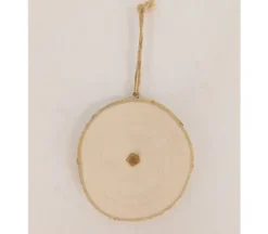 Natural Wood Slice Disc – Oval for Crafts & Décor