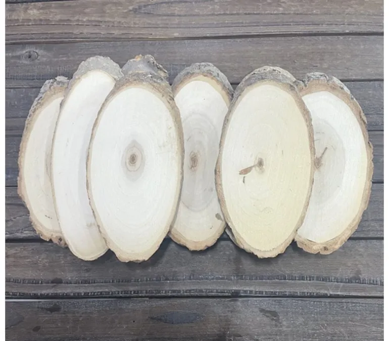 Natural Wood Slice Disc – Oval for Crafts & Décor
