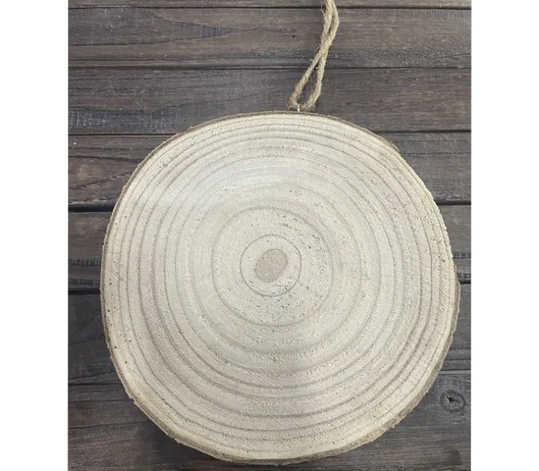 Natural Wood Slice Disc – Oval for Crafts & Décor