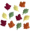 Novelty Buttons Fall Leaves #4632