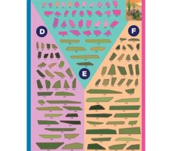 Paint by Sticker – Plant Flowers