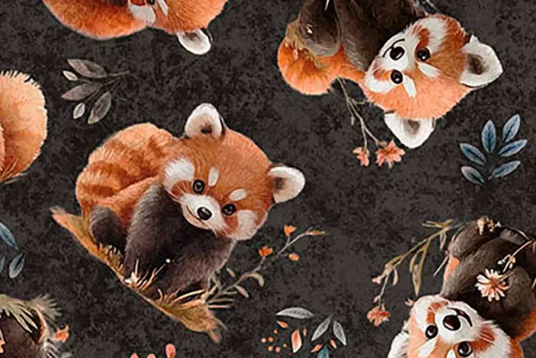 Pandaland Panda Toss on Charcoal